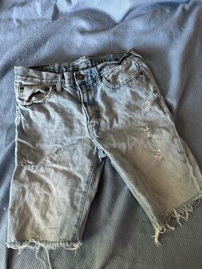 American Eagle Light Wash Distressed Denim Cutoff Shorts 30x30